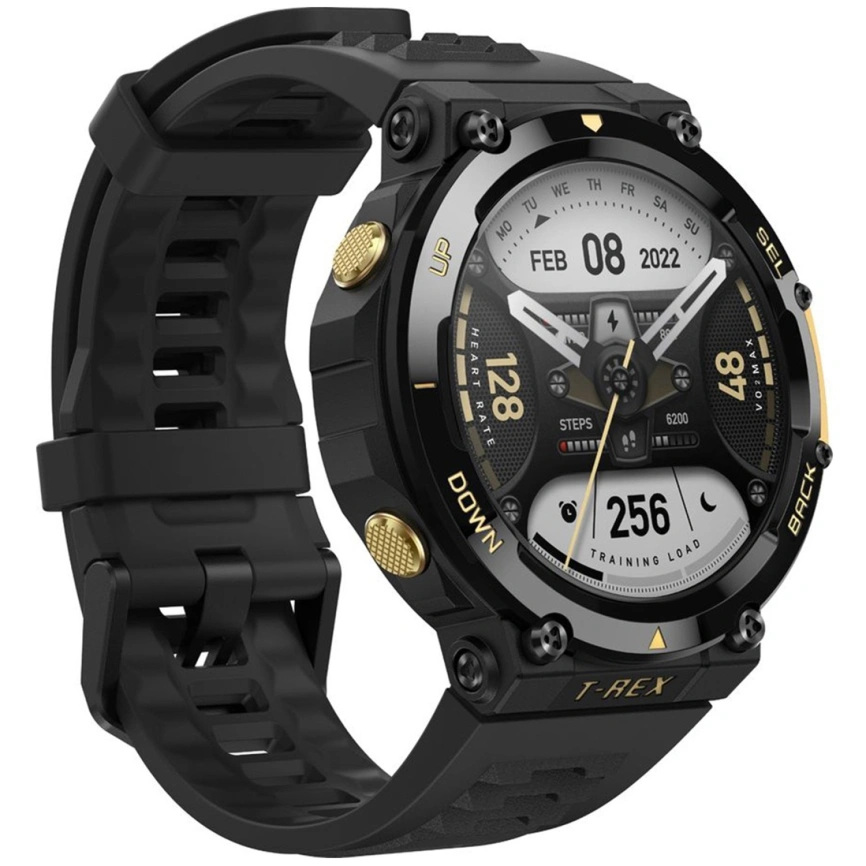 Смарт-часы Xiaomi Amazfit T-Rex 2 Astro Black & Gold