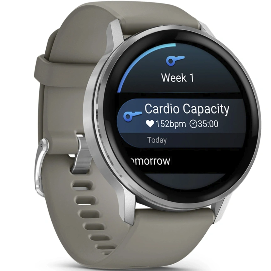 Смарт-часы Garmin Venu 4 45mm Silver Bezel With Silver Gray Silicone Band (010-03014-01)