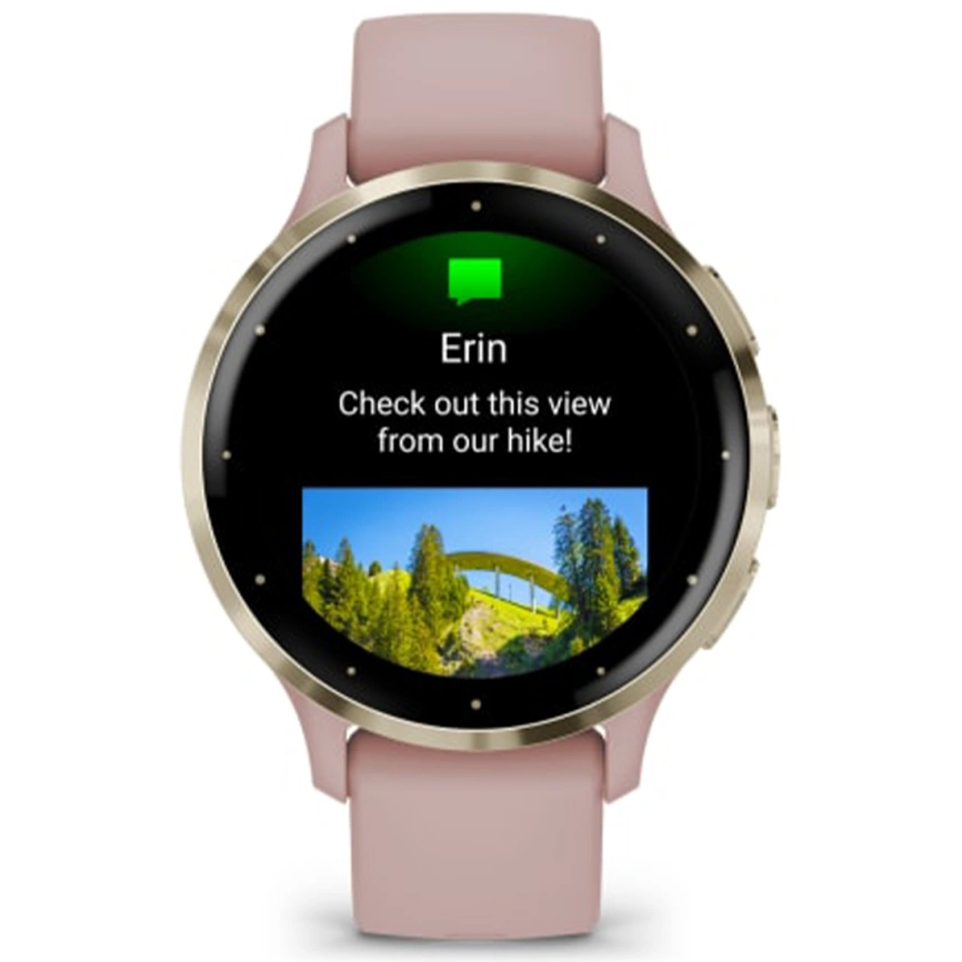 Умные часы Garmin Venu 3s (010-02785-03) 41mm Soft Gold