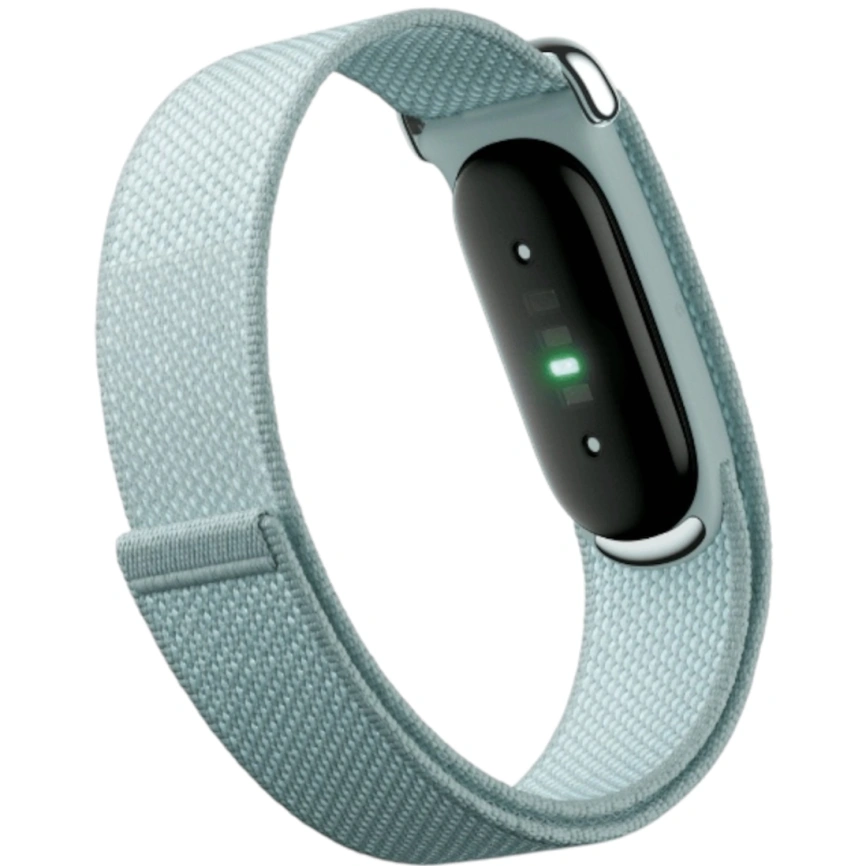 Фитнес-браслет Google Fitbit Air Fog